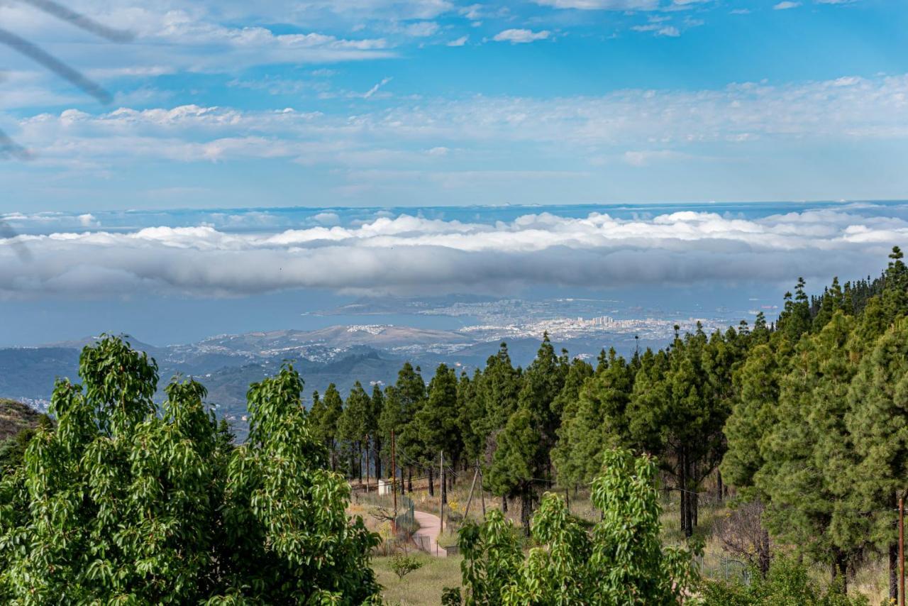 Roque Nublo Rural Houses I Вега де Сан Матео Екстериор снимка